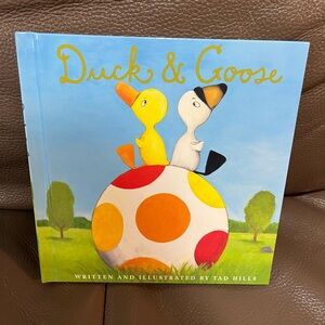 Duck & Goose Children's Book